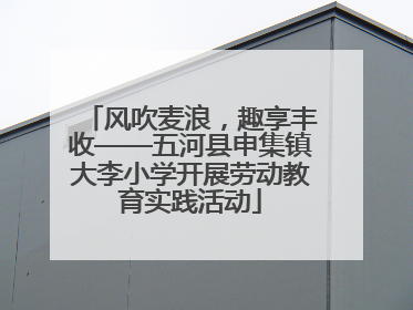 风吹麦浪，趣享丰收——五河县申集镇大李小学开展劳动教育实践活动