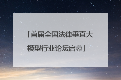 首届全国法律垂直大模型行业论坛启幕