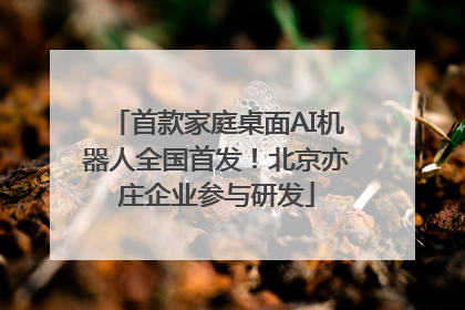 首款家庭桌面AI机器人全国首发！北京亦庄企业参与研发