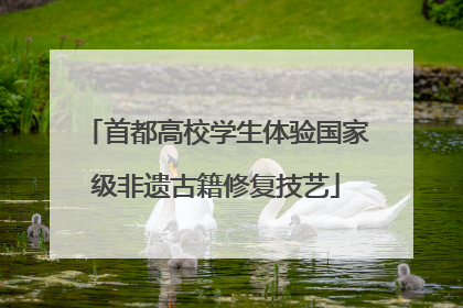 首都高校学生体验国家级非遗古籍修复技艺