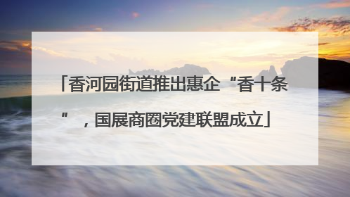 香河园街道推出惠企“香十条”，国展商圈党建联盟成立