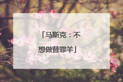 马斯克：不想做替罪羊
