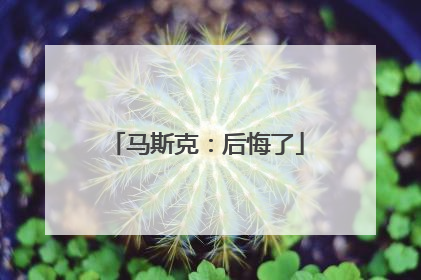 马斯克：后悔了