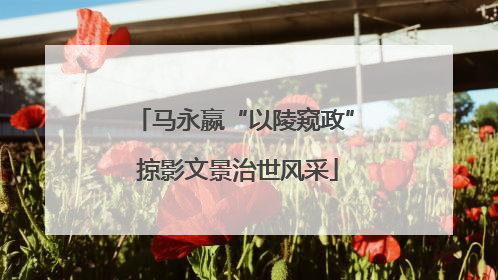 马永嬴“以陵窥政” 掠影文景治世风采