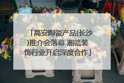 高安陶瓷产品(长沙)推介会落幕 湘赣装饰行业开启深度合作