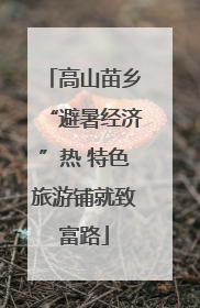 高山苗乡“避暑经济”热 特色旅游铺就致富路