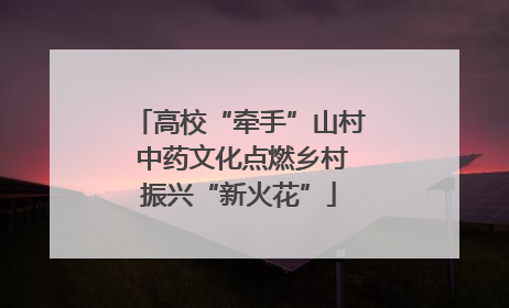 高校“牵手”山村 中药文化点燃乡村振兴“新火花”
