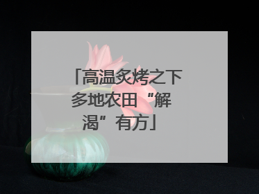 高温炙烤之下 多地农田“解渴”有方