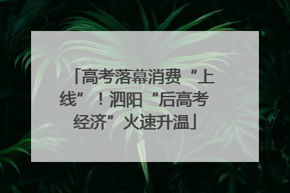 高考落幕消费“上线”！泗阳“后高考经济”火速升温