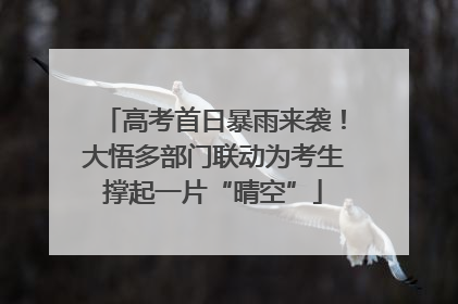 高考首日暴雨来袭！大悟多部门联动为考生撑起一片“晴空”
