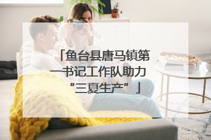 鱼台县唐马镇第一书记工作队助力“三夏生产”