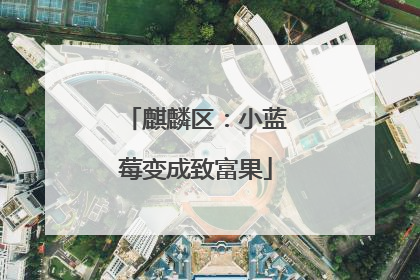 麒麟区：小蓝莓变成致富果