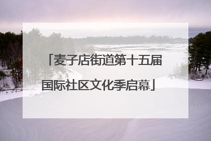 麦子店街道第十五届国际社区文化季启幕