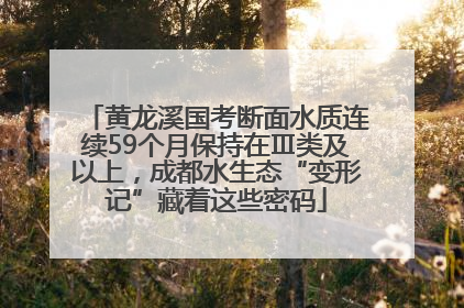 黄龙溪国考断面水质连续59个月保持在Ⅲ类及以上，成都水生态“变形记”藏着这些密码