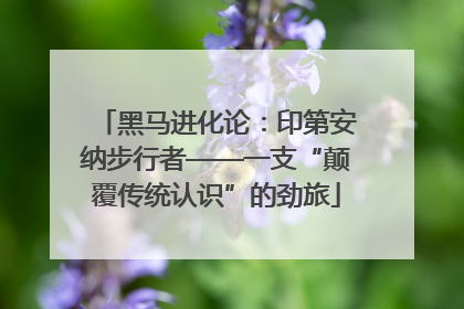 黑马进化论:印第安纳步行者——一支“颠覆传统认识”的劲旅