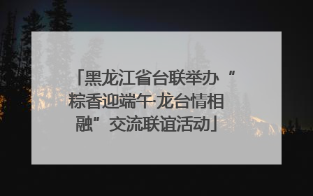 黑龙江省台联举办“粽香迎端午·龙台情相融”交流联谊活动