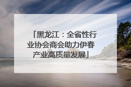 黑龙江：全省性行业协会商会助力伊春产业高质量发展