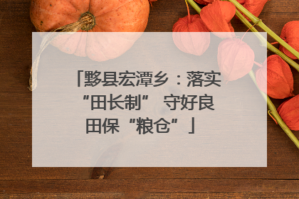 黟县宏潭乡：落实“田长制” 守好良田保“粮仓”