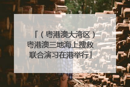 （粤港澳大湾区）粤港澳三地海上搜救联合演习在港举行