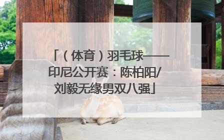 （体育）羽毛球——印尼公开赛：陈柏阳/刘毅无缘男双八强