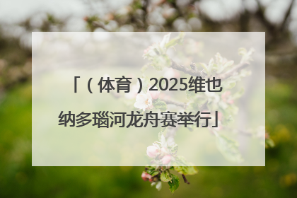 （体育）2025维也纳多瑙河龙舟赛举行
