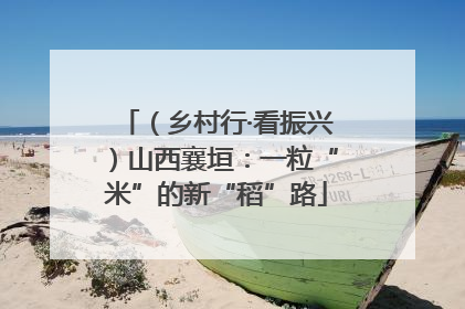 （乡村行·看振兴）山西襄垣：一粒“米”的新“稻”路