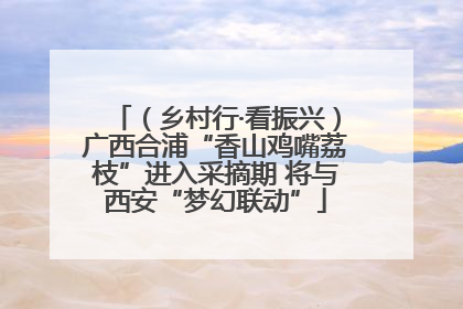 （乡村行·看振兴）广西合浦“香山鸡嘴荔枝”进入采摘期 将与西安“梦幻联动”
