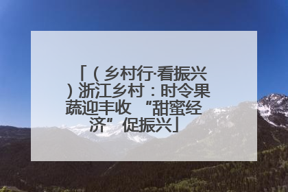 （乡村行·看振兴）浙江乡村：时令果蔬迎丰收 “甜蜜经济”促振兴