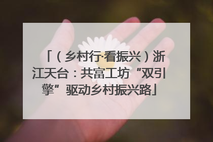 （乡村行·看振兴）浙江天台：共富工坊“双引擎”驱动乡村振兴路