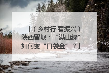 （乡村行·看振兴）陕西留坝：“满山绿”如何变“口袋金”？