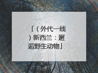 （外代一线）新西兰：邂逅野生动物