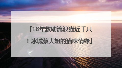 18年救助流浪猫近千只！冰城蔡大姐的猫咪情缘