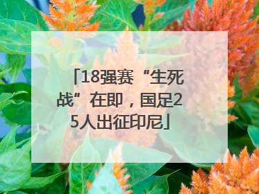 18强赛“生死战”在即，国足25人出征印尼