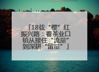 18载“樱”红振兴路：看茶业口镇从接住“流量”到深耕“留量”