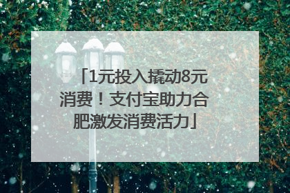 1元投入撬动8元消费！支付宝助力合肥激发消费活力
