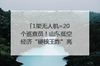 1架无人机=20个巡查员！山东低空经济“硬核王炸”亮相青岛，下一个万亿赛道藏在这里