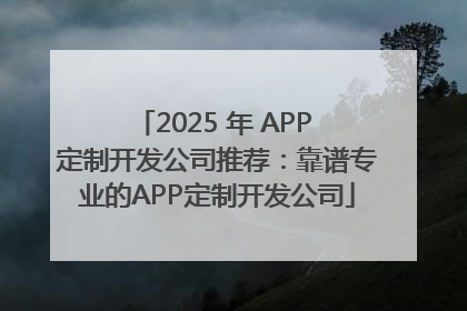 2025 年 APP 定制开发公司推荐：靠谱专业的APP定制开发公司
