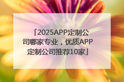 2025APP定制公司哪家专业，优质APP定制公司推荐10家