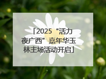 2025“活力夜广西”嘉年华玉林主场活动开启