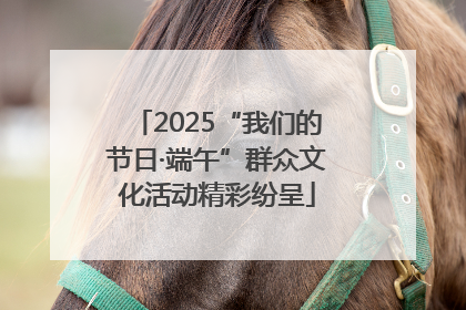 2025“我们的节日·端午”群众文化活动精彩纷呈