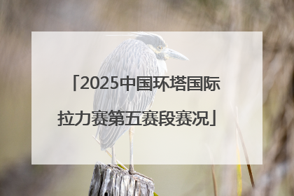 2025中国环塔国际拉力赛第五赛段赛况