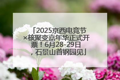 2025京西电竞节×核聚变嘉年华正式开票！6月28-29日，石景山首钢园见