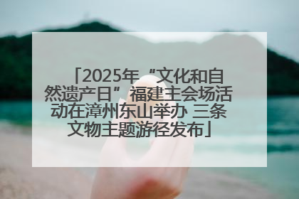 2025年“文化和自然遗产日”福建主会场活动在漳州东山举办 三条文物主题游径发布