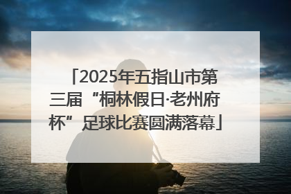 2025年五指山市第三届“桐林假日·老州府杯”足球比赛圆满落幕