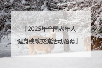 2025年全国老年人健身秧歌交流活动落幕