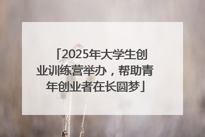 2025年大学生创业训练营举办，帮助青年创业者在长圆梦