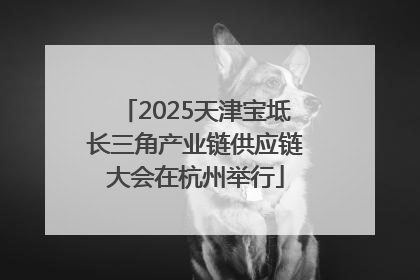 2025天津宝坻长三角产业链供应链大会在杭州举行