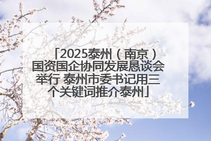 2025泰州（南京）国资国企协同发展恳谈会举行 泰州市委书记用三个关键词推介泰州
