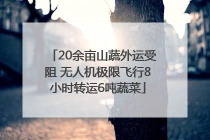 20余亩山蔬外运受阻 无人机极限飞行8小时转运6吨蔬菜
