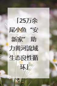 25万余尾小鱼“安新家” 助力黄河流域生态良性循环
